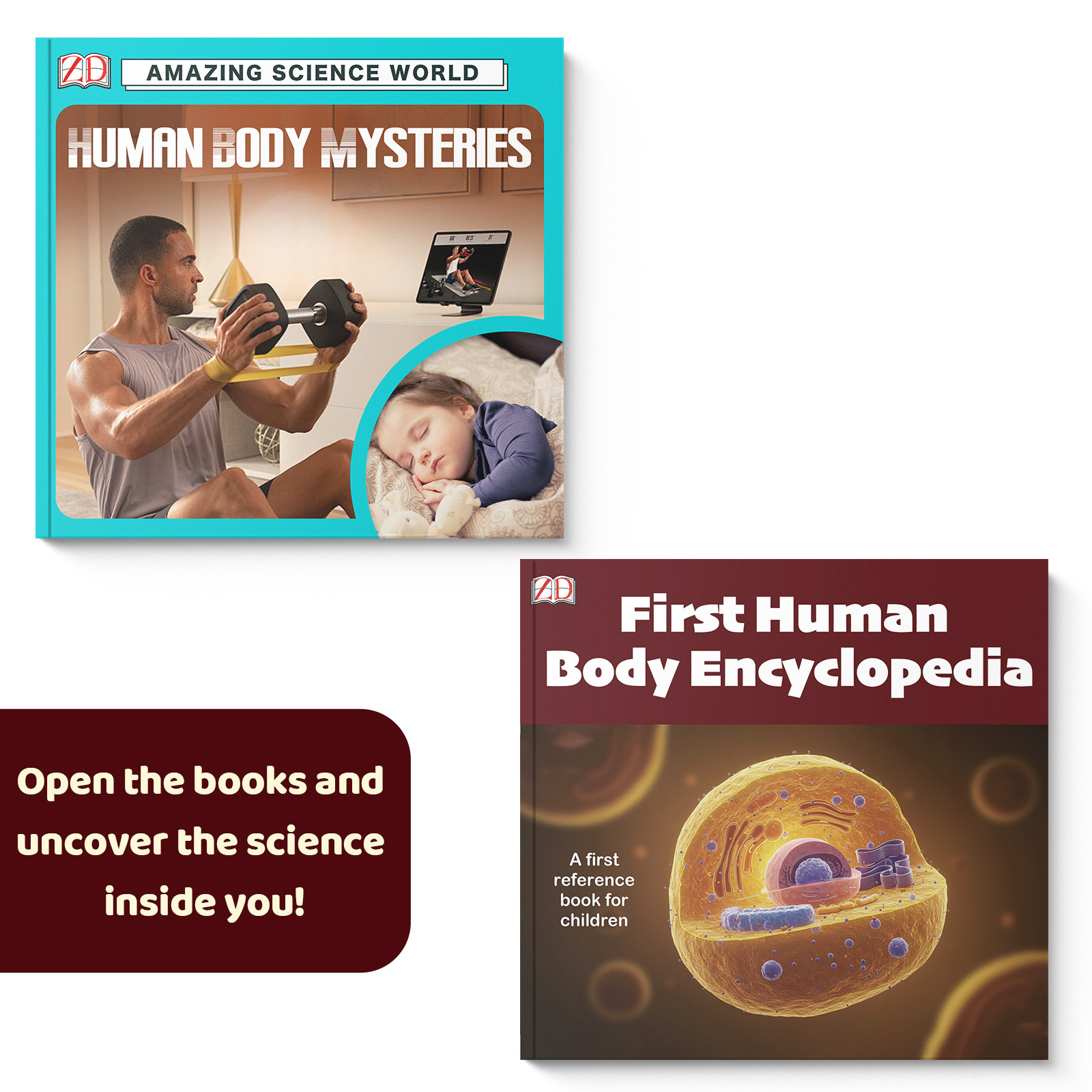 Human Body Science Exploration - огляд і ціна Health & Wellness Unlimited